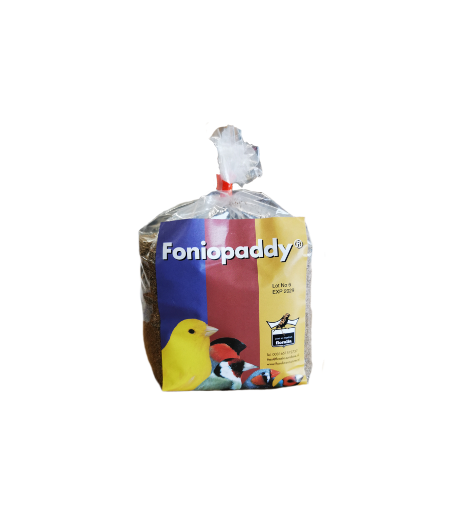 Foniopaddy -nasiona traw 1 kg