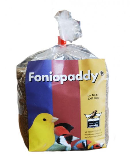 Foniopaddy -nasiona traw 1 kg