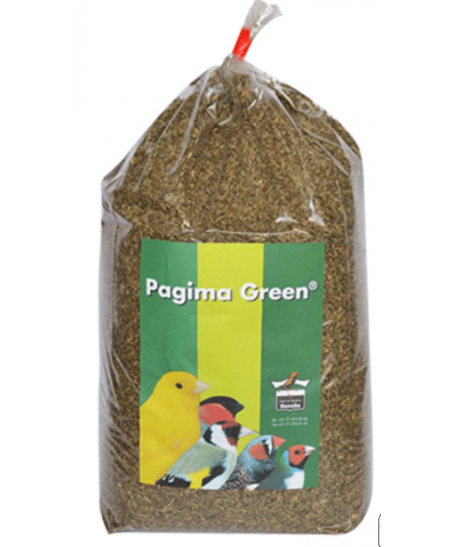 Pagima Green- nasiona traw 750 g